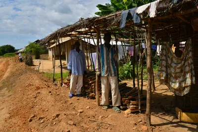 DSC_4718 (Large).JPG